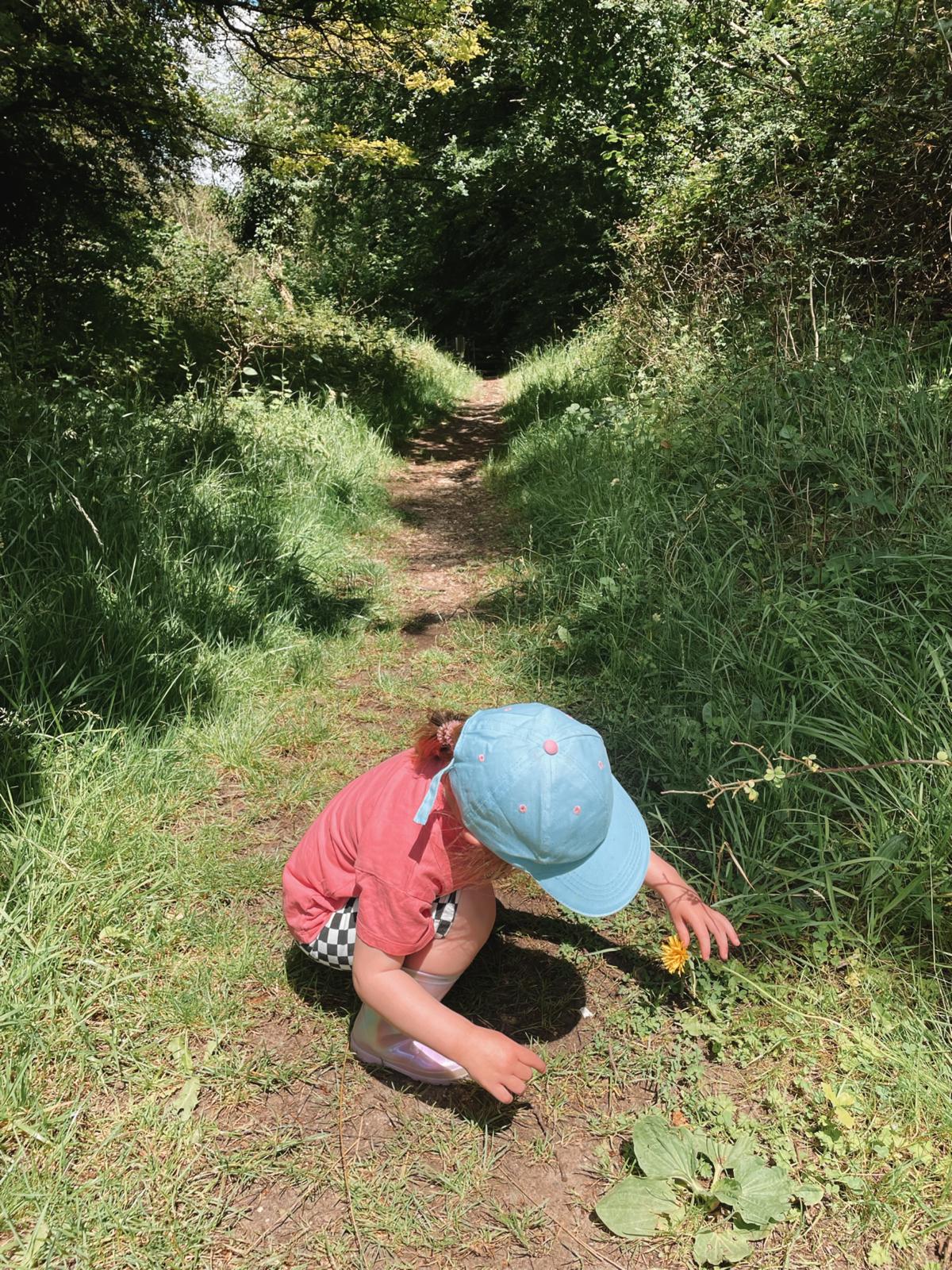 A child discovering a flower on a woodland path