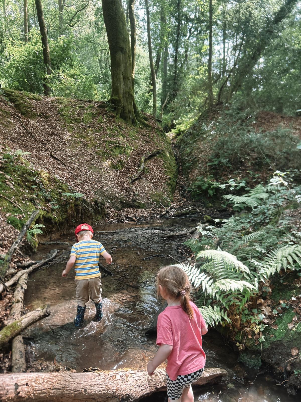 Children exploring a shallow woodland stream