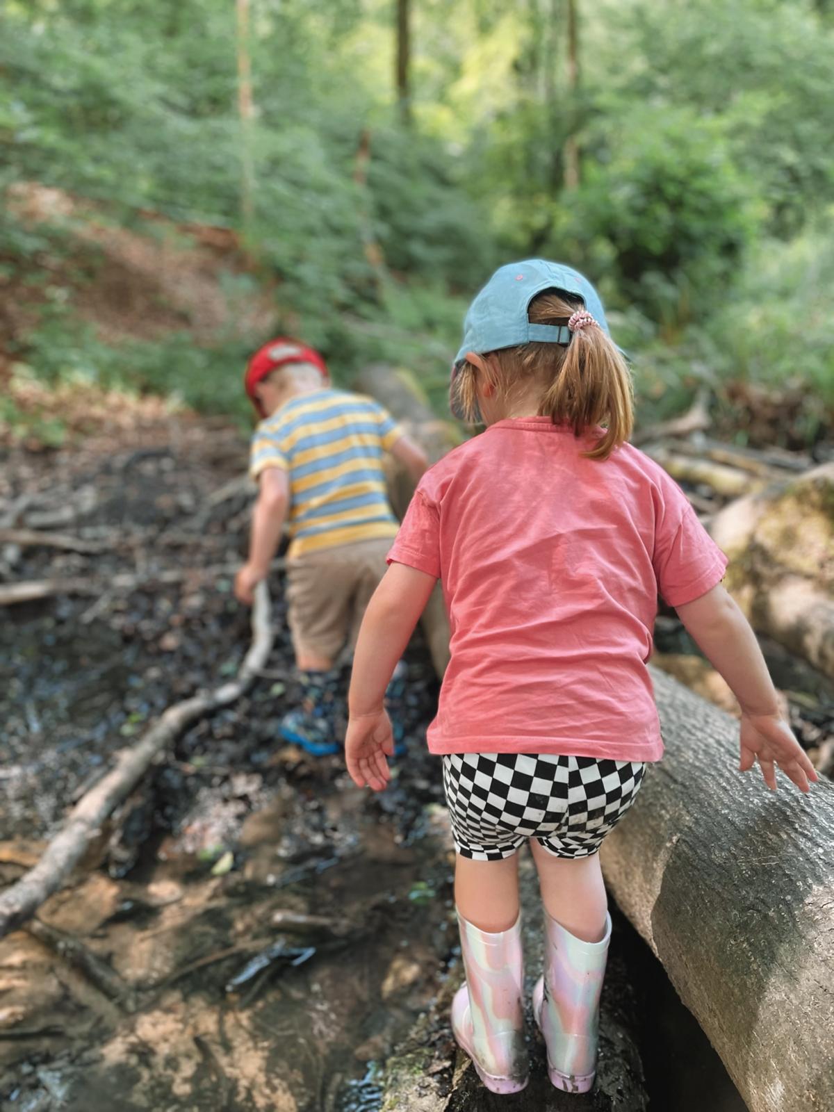 Children exploring a woodland stream